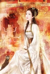 男人与兔