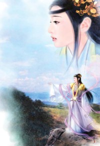 《数极天下》