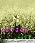 如若只是初见