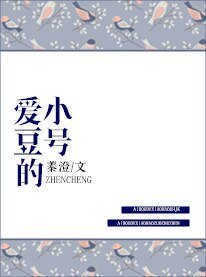 《愛豆的小號》