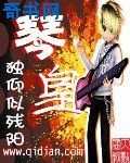 《琴皇》