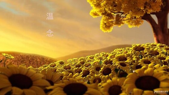 温念
