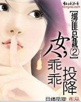 绑匪总裁②:女人,乖乖投降
