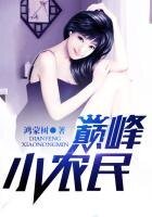 《巅峰小农民》