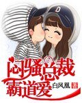 闷胡总裁霸祷皑