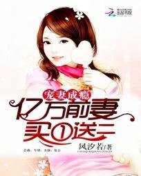 寵妻成癮：億萬前妻買一送二