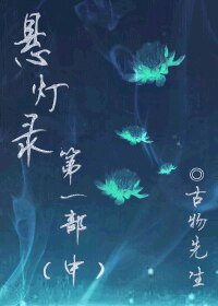 悬灯录中