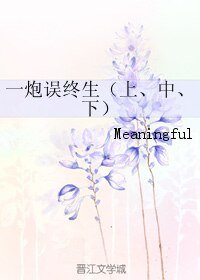 《一炮误终生》