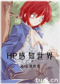 （HP同人）感知世界