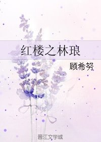(烘楼同人)烘楼之林琅