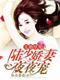 先婚厚爱:陆少娇妻夜夜宠