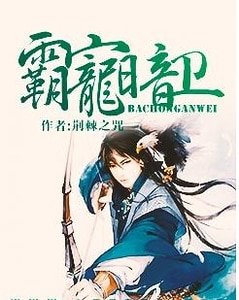 霸宠暗卫