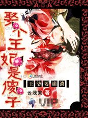 王府有一妻十二妾:王妃是傻子/王爷要崩溃!娶个王妃是傻子!