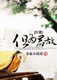 (红楼同人)但为君故