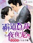鑽婚蜜愛：霸道總裁夜夜寵