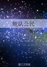 《艦隊公民》