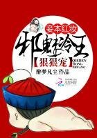 《妾本紅妝:邪魅冷王狠狠寵》