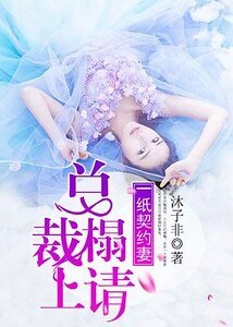 一纸契约妻:总裁榻上请