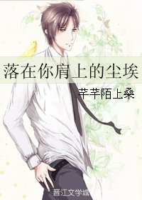 《落在你肩上的尘埃》