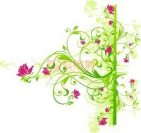 绿羽樊花