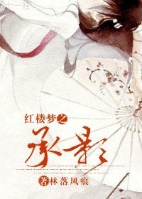 （红楼梦同人）红楼梦之承影