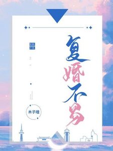 《复婚不易》