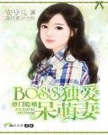 《豪门隐婚:BOSS独爱呆萌妻》