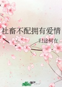 (综漫同人)社畜不配拥有爱情