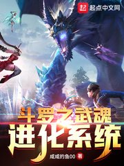 (鬥羅同人)鬥羅之武魂進化系統