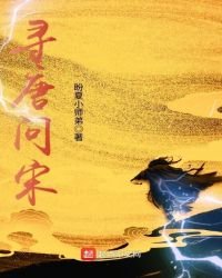 尋唐問宋