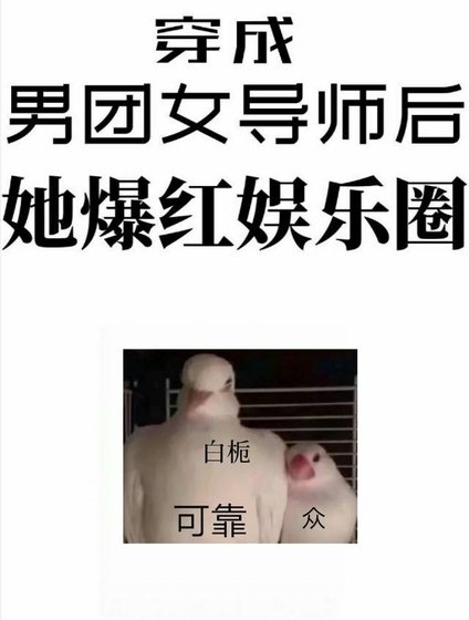 《穿成男团选秀女导师后她爆红娱乐圈》