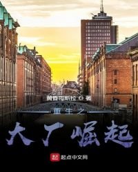 《重生之大廠崛起》