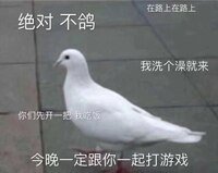 《絕對不鴿gl》