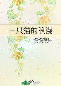 一只猫的浪漫
