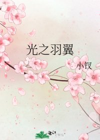 《光之羽翼》