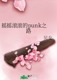 《搖搖滾滾的punk之路》