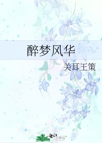 醉梦风华