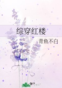综穿红楼