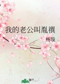 《我的老公叫胤禩》