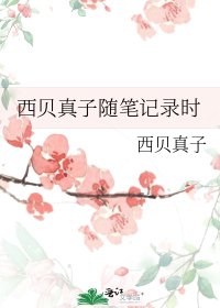 《西贝真子随笔记录时》