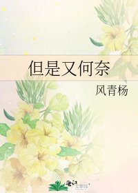 但是又何奈