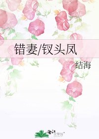 《错妻/钗头凤》