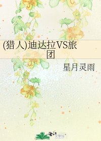 《(猎人)迪达拉VS旅团》