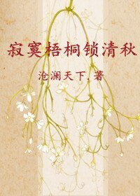 《寂寞梧桐锁清秋》