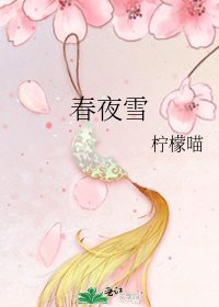 春夜雪