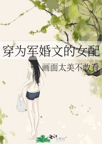 穿為軍婚文的女裴