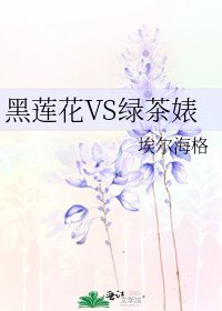 《黑莲花VS绿茶婊》