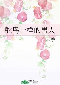 《鸵鸟一样的男人》