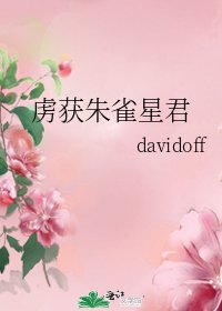 《虏获朱雀星君》