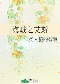 《海贼之艾斯》